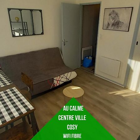 Apartmán Petit Cocon Tarbais -Wifi-Parking Tarbes Exteriér fotografie